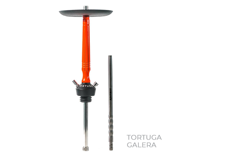 Tortuga-Galera-2.jpg