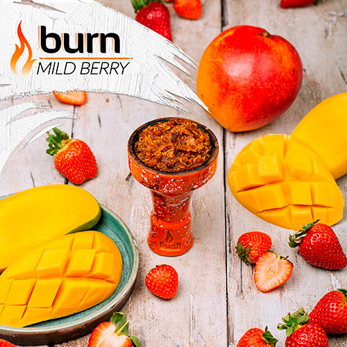 Табак Burn Mild Berry