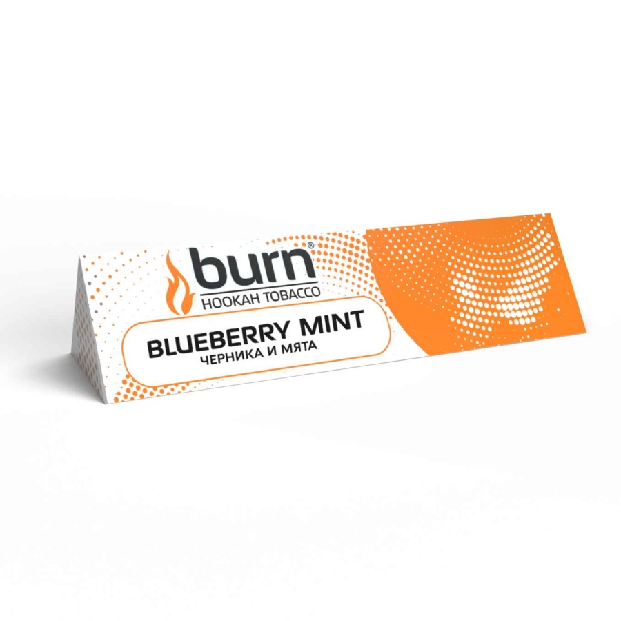 Burn Blueberry Mint (Черника и мята) 20 гр